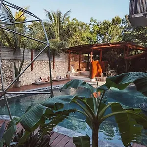 Botanica Mexico